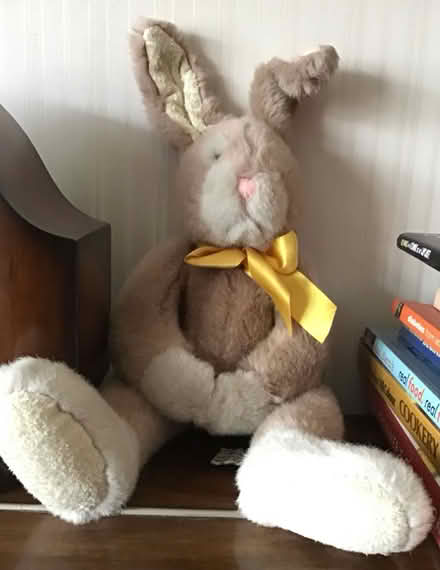 Photo of free Furry rabbit toy (CV32 lillington) #1