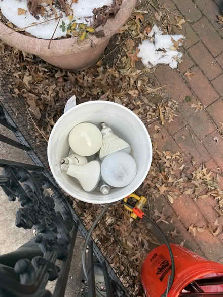 Photo of free Light bulbs - CURB ALERT (Windsor Terrace, Brooklyn) #2