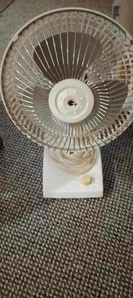 Photo of free Electric fan (St Leonards TN38) #1