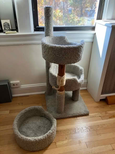 Photo of free Cat Tree (Cleveland Park) #1