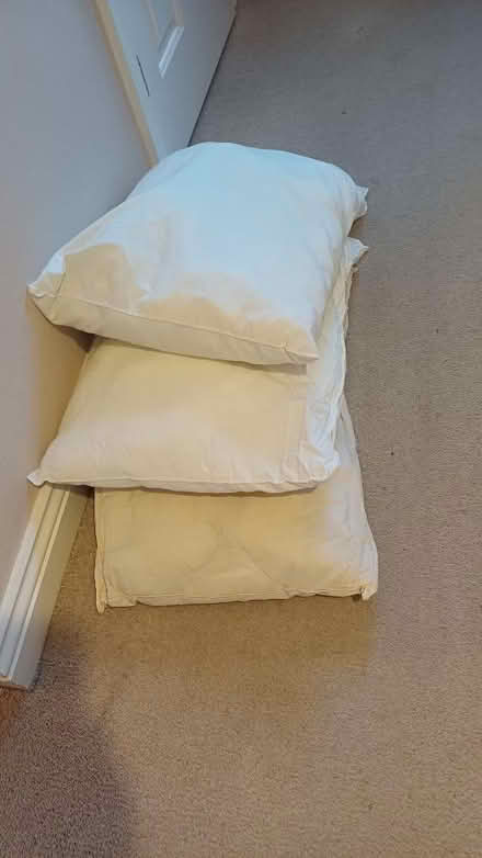 Photo of free 4 pillows (Winkwell HP1) #1