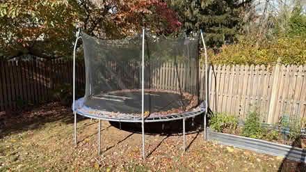 Photo of free Trampoline (Lincoln Park) #1