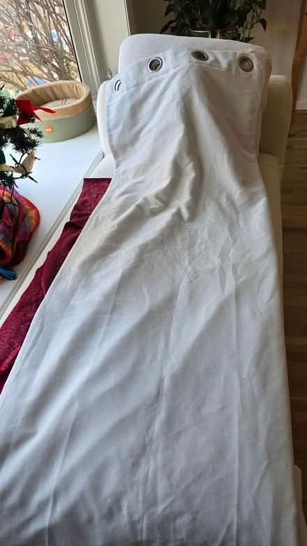 Photo of free 4 blackout curtains (Silver Spring (Forest Glen)) #1