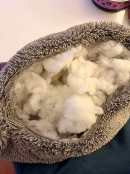 Photo of free Hollow fibre cushion filling (Cherry Orchard SY2) #1