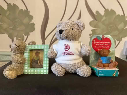 Photo of free Teddy collection (CV32 lillington) #3