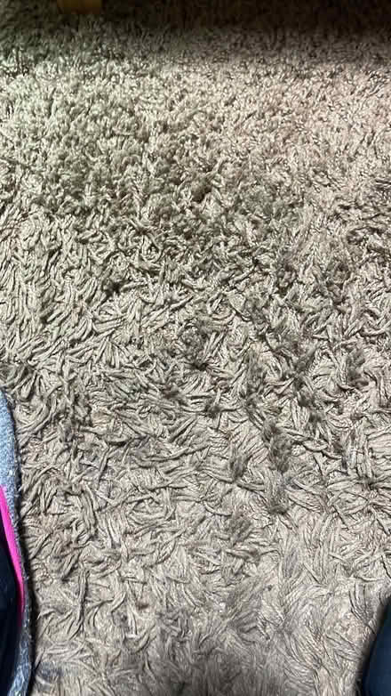 Photo of free Brown shag pile rug 7ftx9ft (BR3) #1