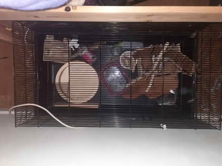 Photo of free Large hamster cage & accessories (Kew TW9) #2