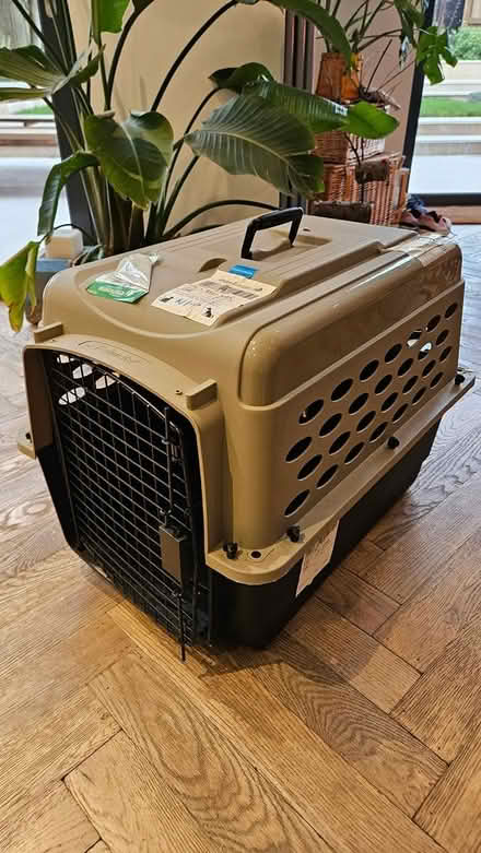 Photo of free Dog / cat basket (large) (Larkhall, Bath) #1