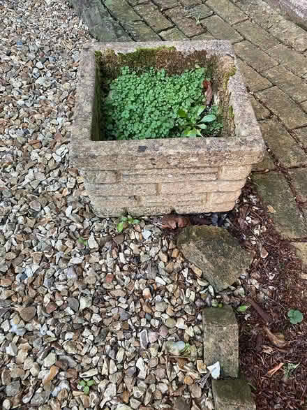 Photo of free stone planters (very heavy) (Axminster) #2