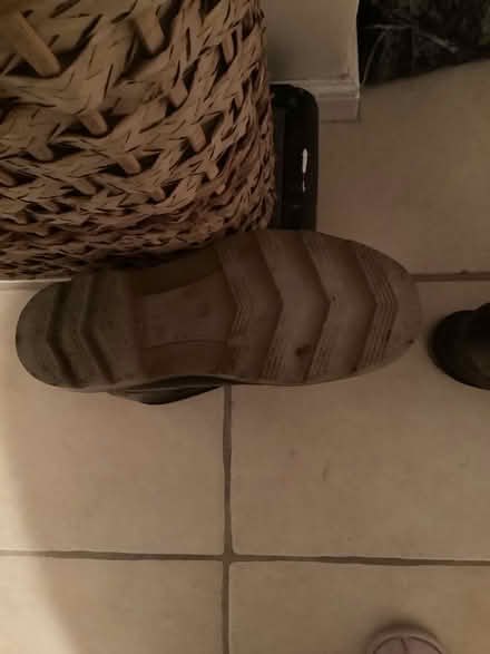 Photo of free Wellies, size 9 (Hackney Cross WR13) #1