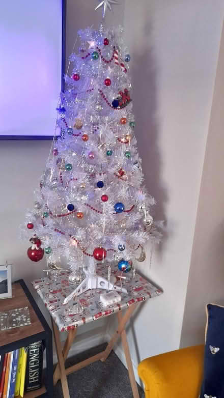 Photo of free Christmas tree (Marshalswick St.Albans) #2