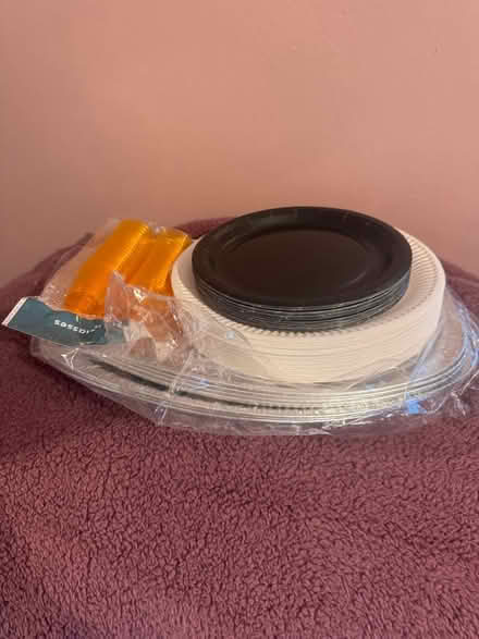 Photo of free Disposable tableware (Staines TW18) #1