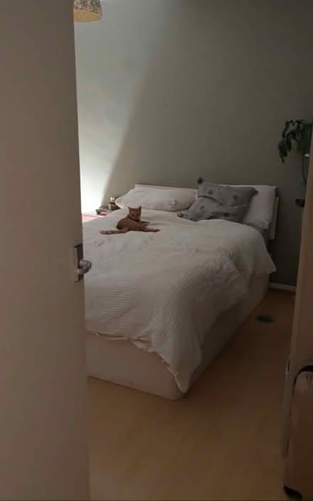 Photo of free Bedframe divan double (Abingdon, OX14) #1