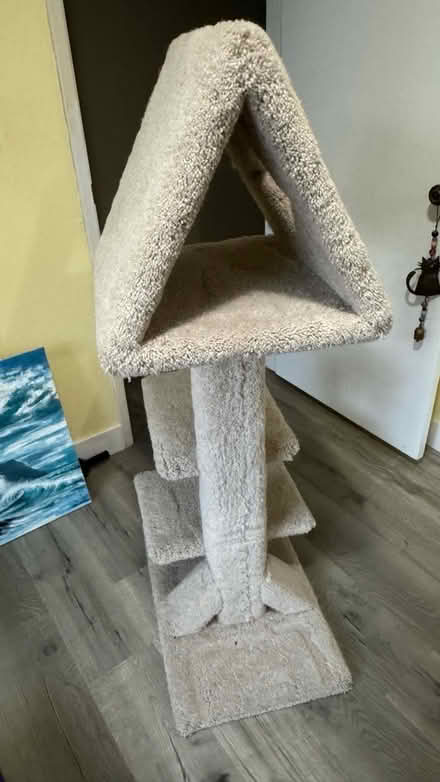 Photo of free Cat play post (Near monument Blvd, Concord) #2