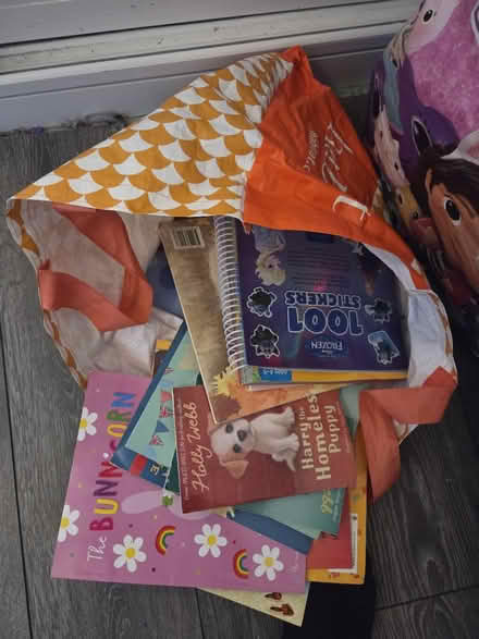 Photo of free Bag of miscellaneous books (CR7) #1