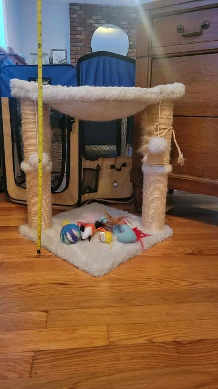 Photo of free Small cat tree & toys (Stratton school) #1