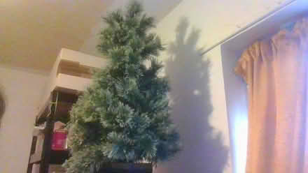 Photo of free 4 foot porch Tree Artificial (Bath BA2) #1