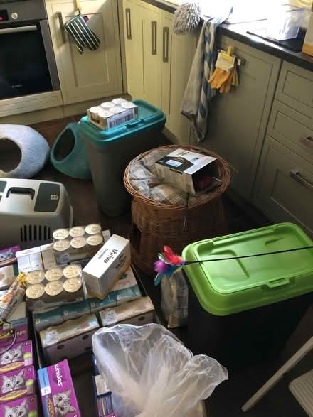 Photo of free premium cat supplies, large quantity (Sandhills OX3) #3