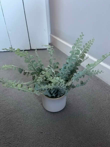 Photo of free Artificial plant in pot (OX14) #3