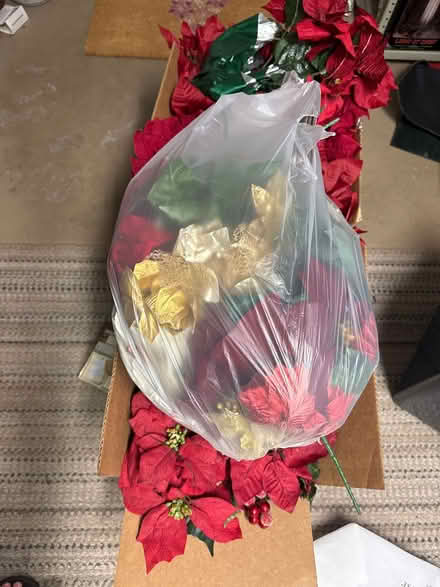 Photo of free Poinsettias (Center Valley, PA) #1