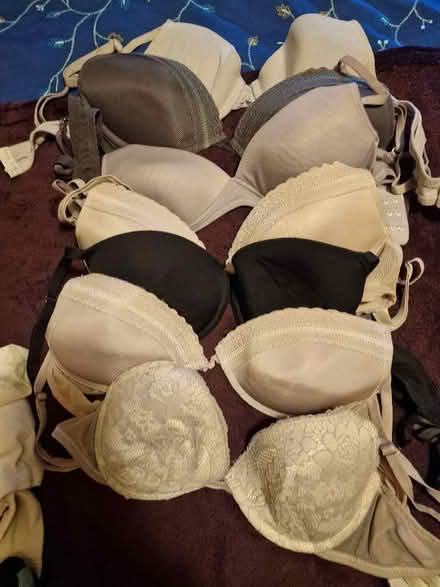 Photo of free Large Bag of Mixed Womens Clothes Size 14 16 18 (Linden GL1) #4
