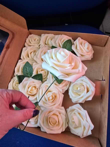 Photo of free Artificial roses (Westbury BA13 3UG) #2