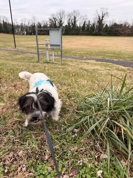 Photo of Hello everyone (Suitland) #1