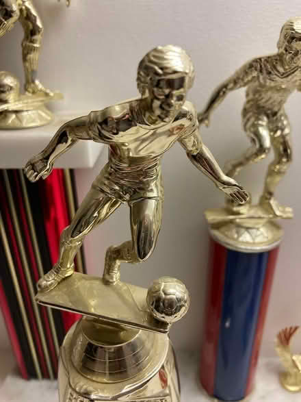 Photo of free trophies (Spring Hill, Somerville) #4