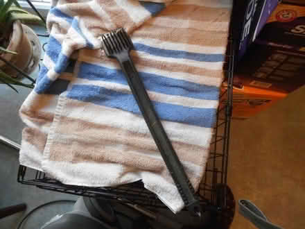 Photo of free grill brush #1