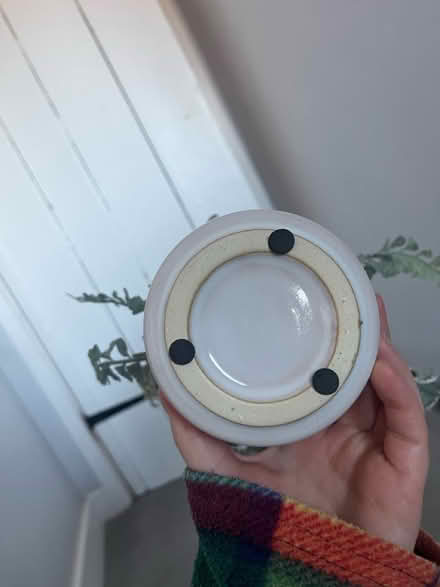 Photo of free Artificial plant in pot (OX14) #2