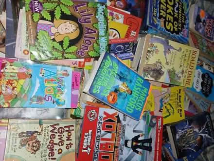 Photo of free Children's books (Shenley fields B31) #1
