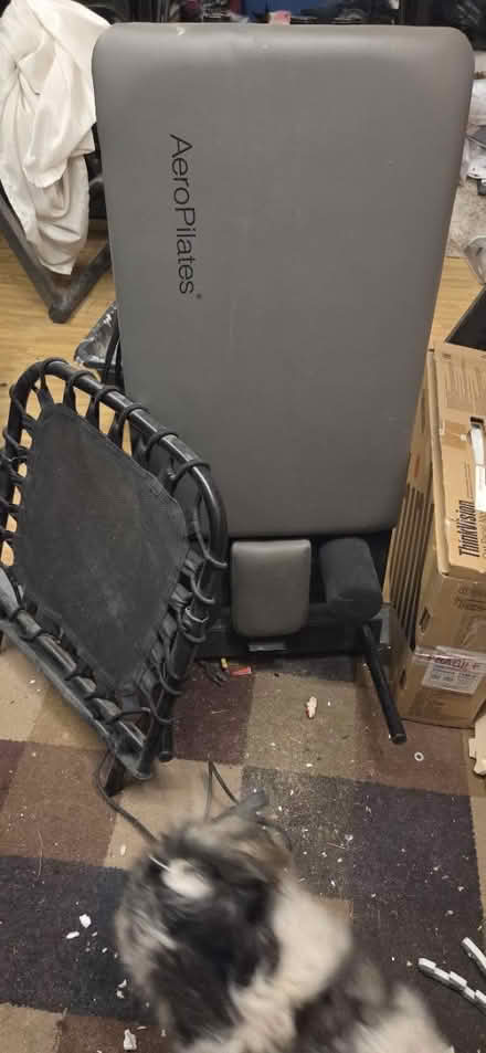 Photo of free Aero Pilates with rebounder (Upper Darby) #1