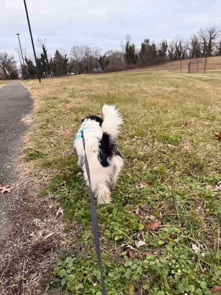 Photo of Hello everyone (Suitland) #2