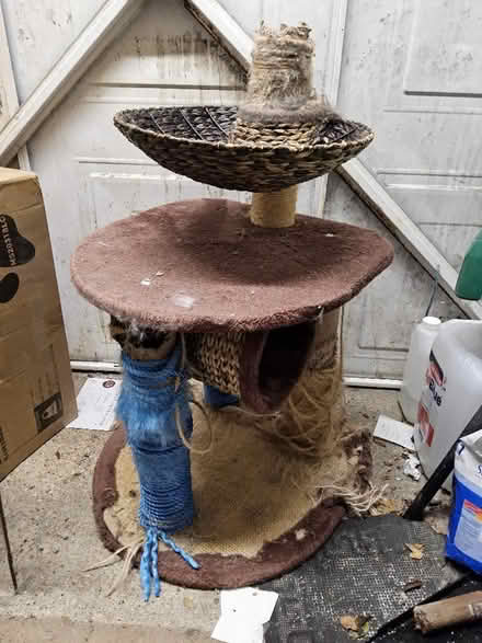 Photo of free Cat bed scratching post (Putnoe MK41) #2