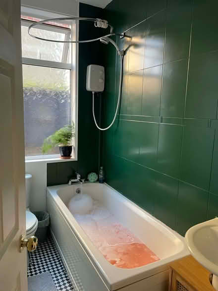 Photo of free Green tile paint (Wisewood S6) #1