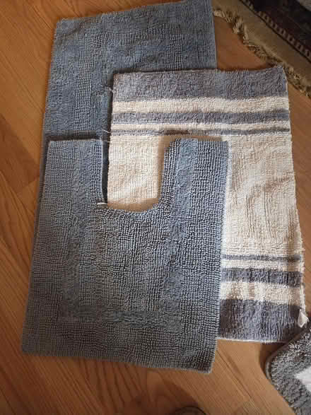 Photo of free Blue and white bathroom rugs (20011) #1
