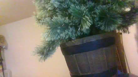 Photo of free 4 foot porch Tree Artificial (Bath BA2) #2