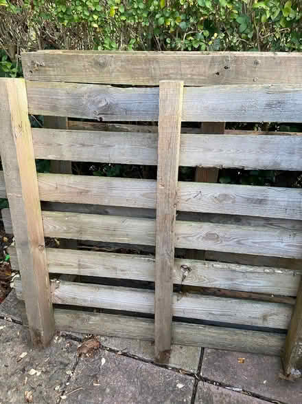 Photo of free Pallets (Coleridge Ward CB1) #2