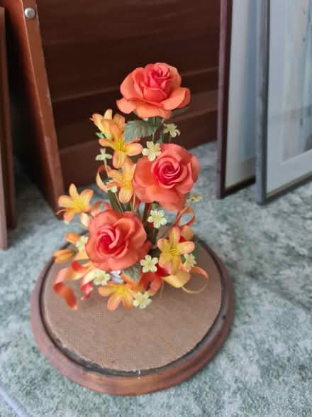 Photo of free Display case (Great Sutton CH66) #2