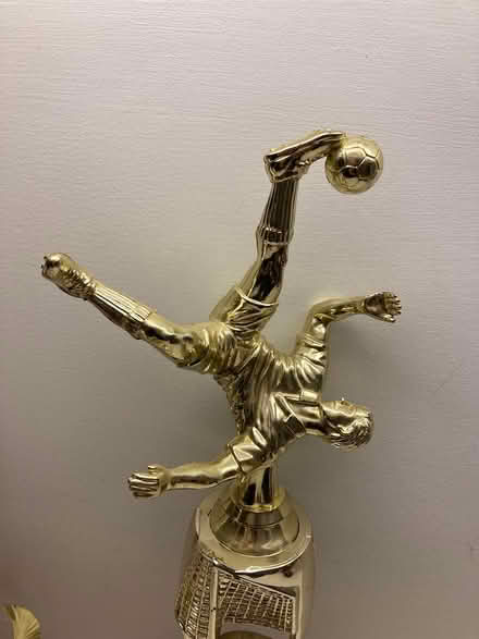 Photo of free trophies (Spring Hill, Somerville) #3