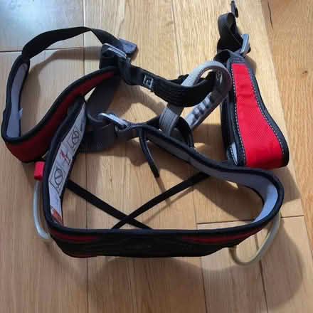 Photo of free Child’s Black Diamond ‘Wizkid’ climbing harness (Earlsdon CV5) #2