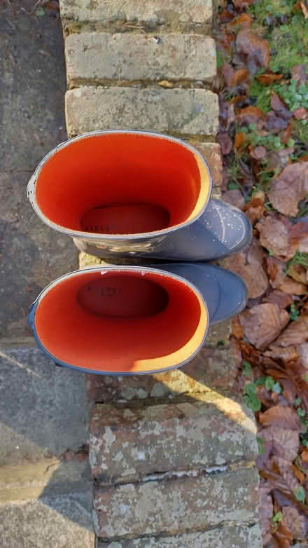 Photo of free Wellington Boots - Girls- size 4 - Radley (Kenley CR8) #2