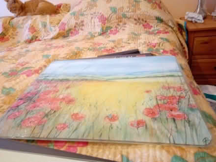 Photo of free Work top savers (Orton Goldhay) #2