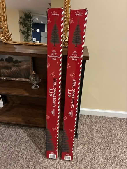 Photo of free 4 foot christmas trees (Saugerties) #2