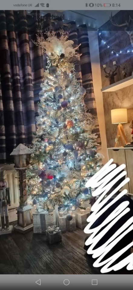 Photo of free Xmas tree (Luton LU1) #1