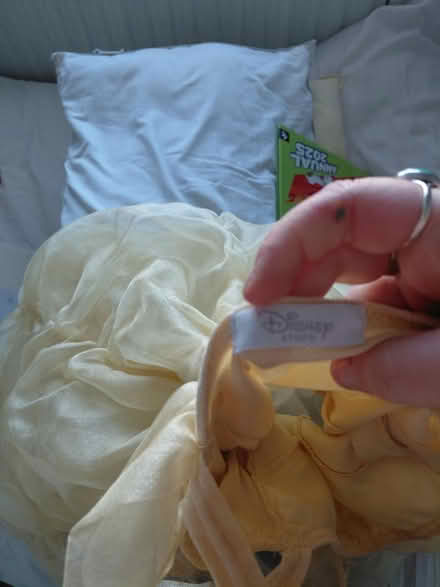 Photo of free Beauty and beast belle dress (Bognor Regis - PO22) #2