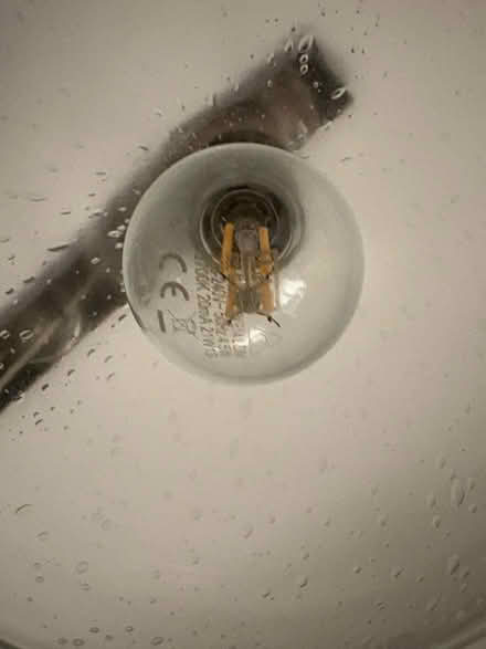 Photo of free 2 light bulbs (Battenhall, Worcester WR5) #2