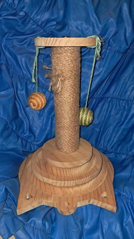 Photo of free Small cat scratcher (Holloway road N4) #1