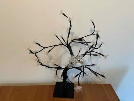 Photo of free Light up cherry tree (plug in) (Bishop’s Stortford) #2