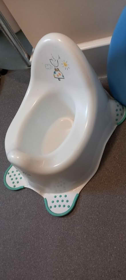 Photo of free Potty and toilet seat (TF1) #2